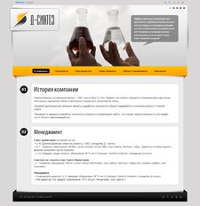 Разработка сайта для компании Д-синтез Разработка сайта для компании Д-синтез