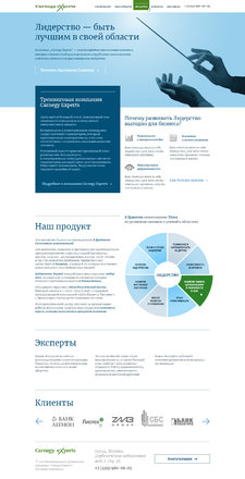 Разработка лендинга для компании Carnegy Experts